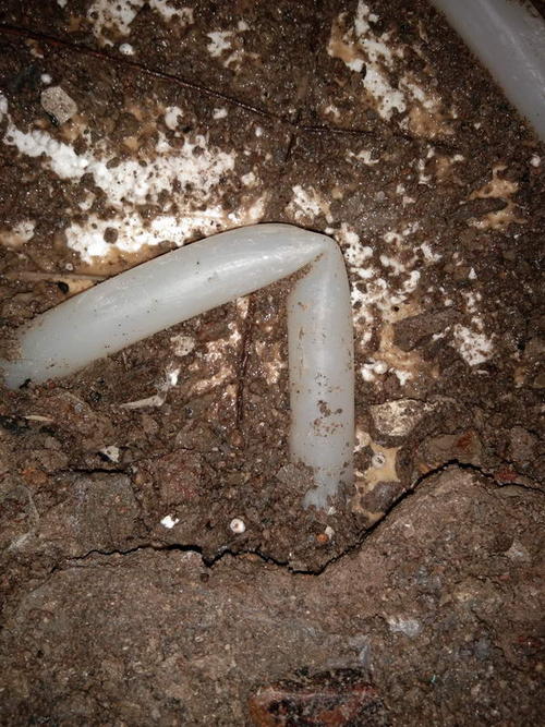 焉耆堵点精准查找